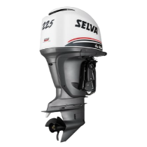 Selva Beaked whale 225 E.F.I. E.DW.XL.PT.