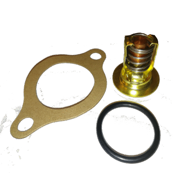 Termostato remontinis komplektas