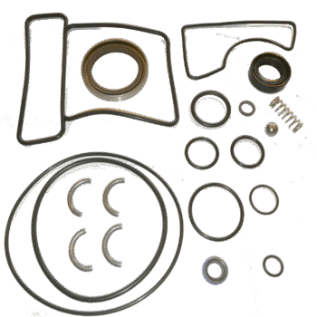 Riebokšlių ir sandariklių komplektas