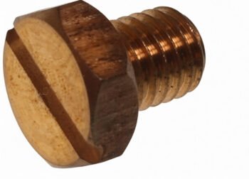 Karbiuratoriaus išleidimo varžtas Parsun F4