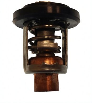 Termostatas 60 °C Parsun F15 / Yamaha / Honda / OMC