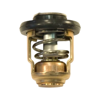 Termostatas Yamaha F15 / F20