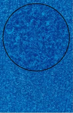 Danga kiliminė mėlyna (Navy blue) 200 cm